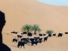mersougadesert2-small